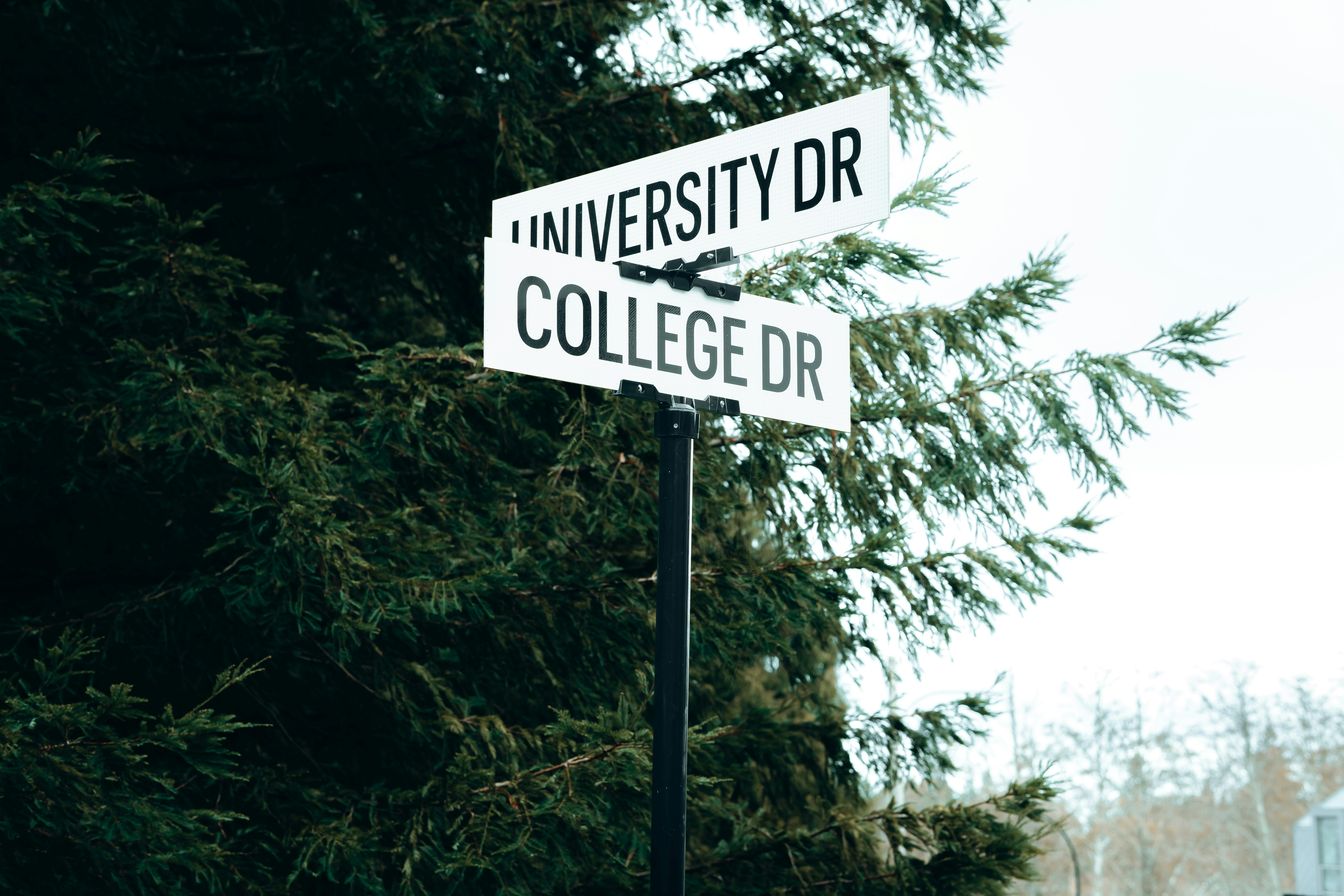University Drive and College Drive street sign